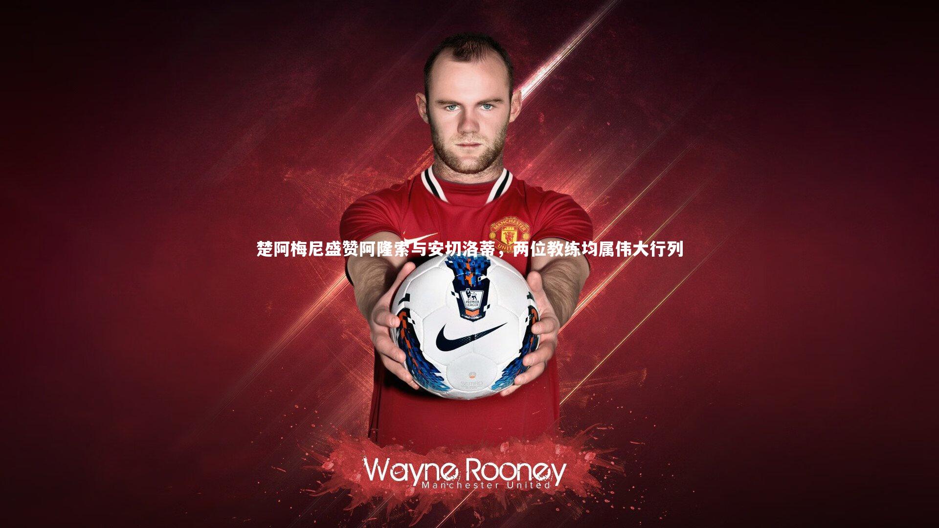 楚阿梅尼盛赞阿隆索与安切洛蒂，两位教练均属伟大行列